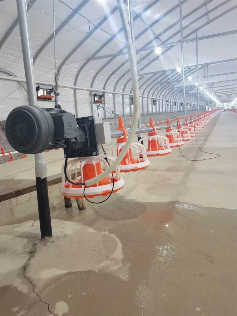 Automatic Rasing Feeding Lines suppliers Automatic Rasing Feeding Lines suppliers